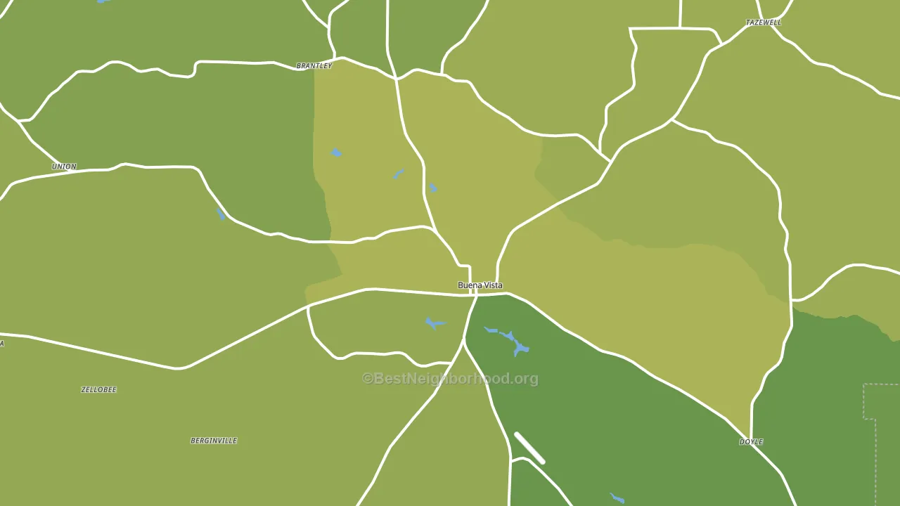 Buena Vista, GA block-group voter-turnout map