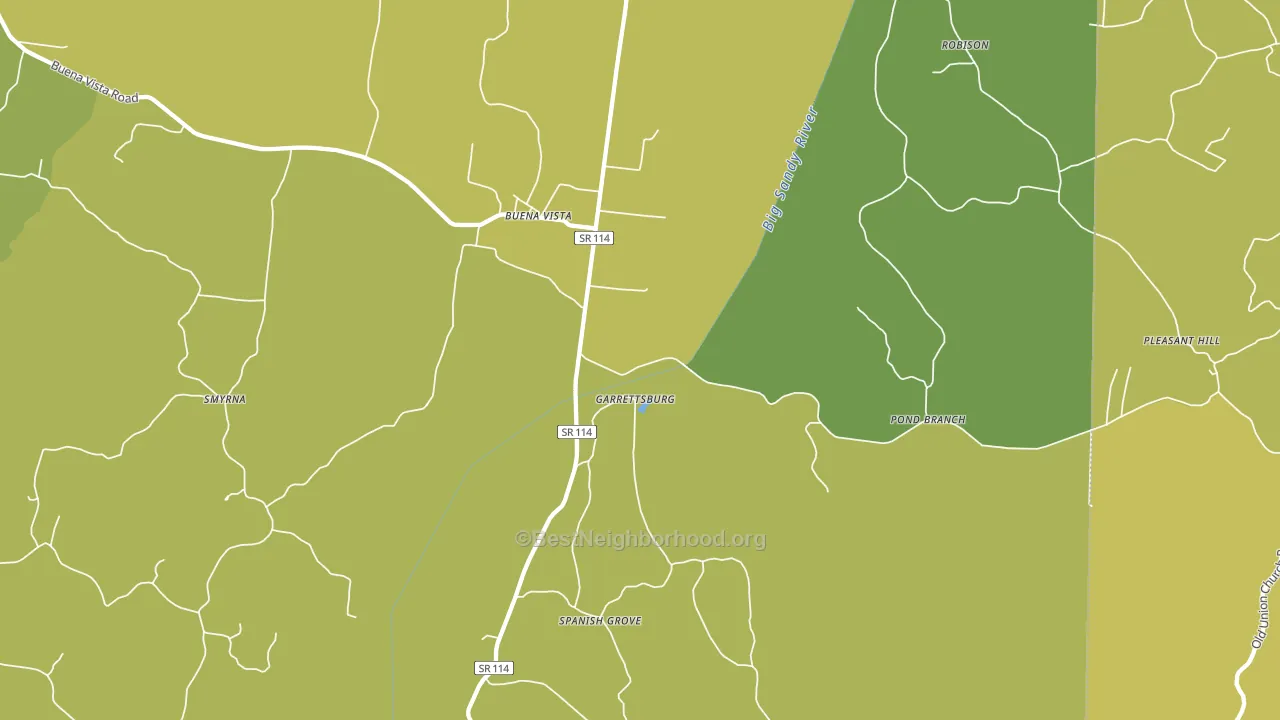 Buena Vista, TN block-group voter-turnout map
