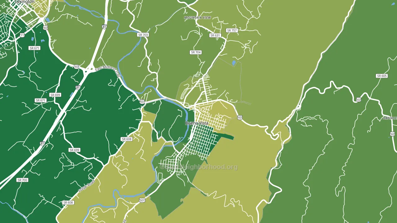 Buena Vista, VA block-group voter-turnout map