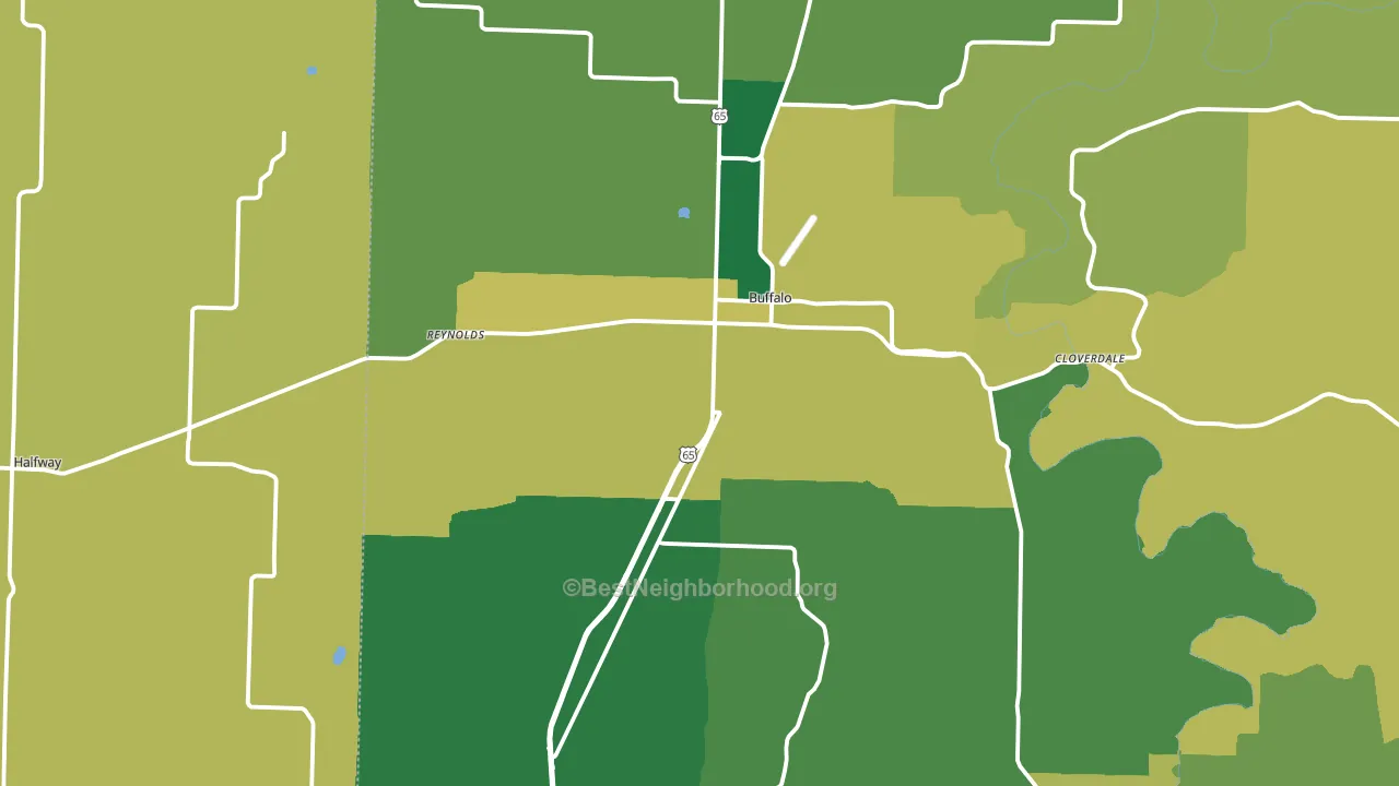 Buffalo, MO block-group voter-turnout map