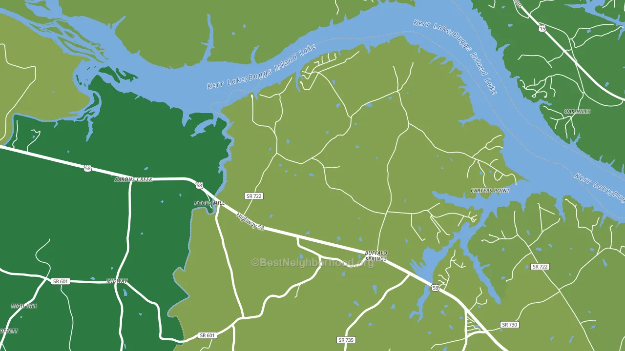 Buffalo Springs, VA block-group voter-turnout map