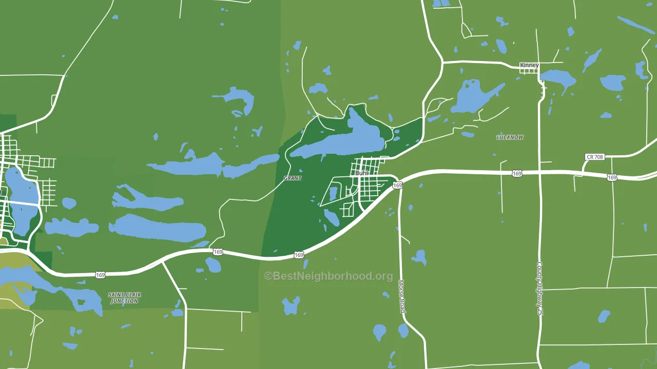 Buhl, MN block-group voter-turnout map