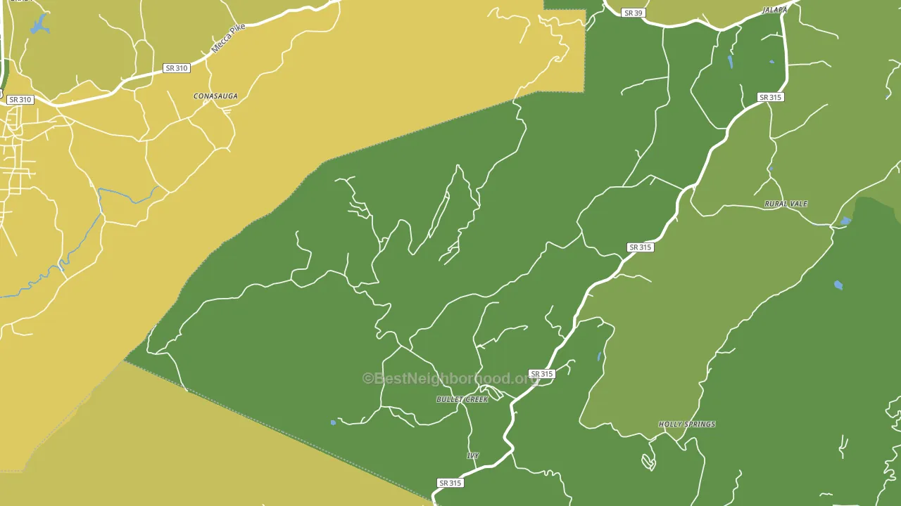 Bullet Creek, TN block-group voter-turnout map