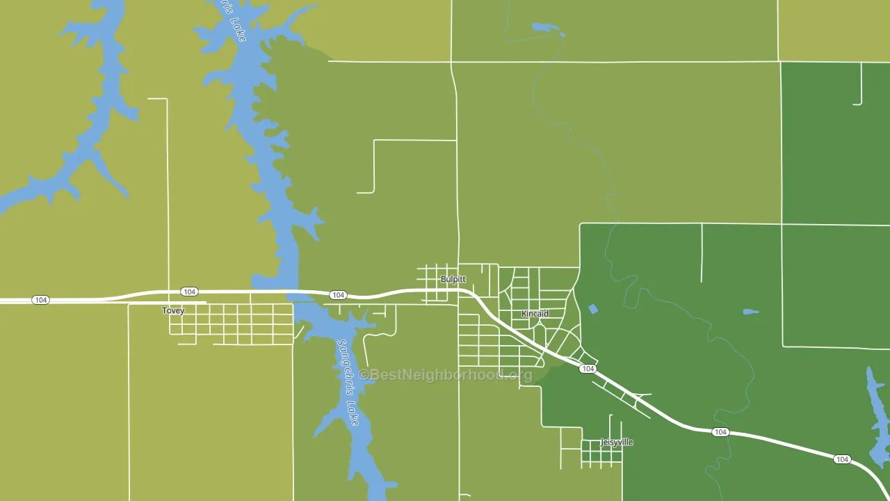 Bulpitt, IL block-group voter-turnout map