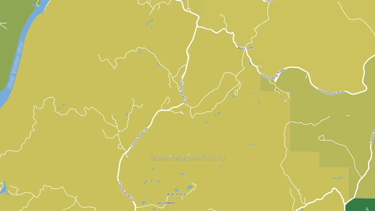 Burchfield, AL block-group voter-turnout map