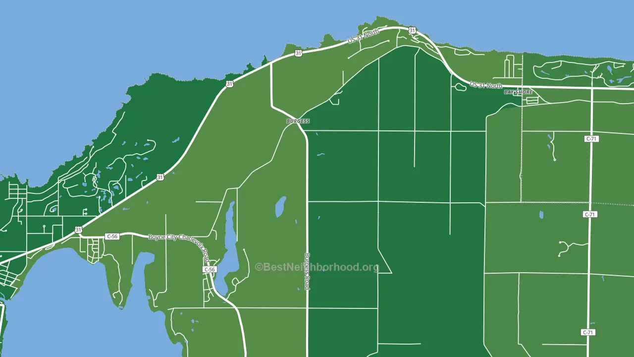 Burgess, MI block-group voter-turnout map