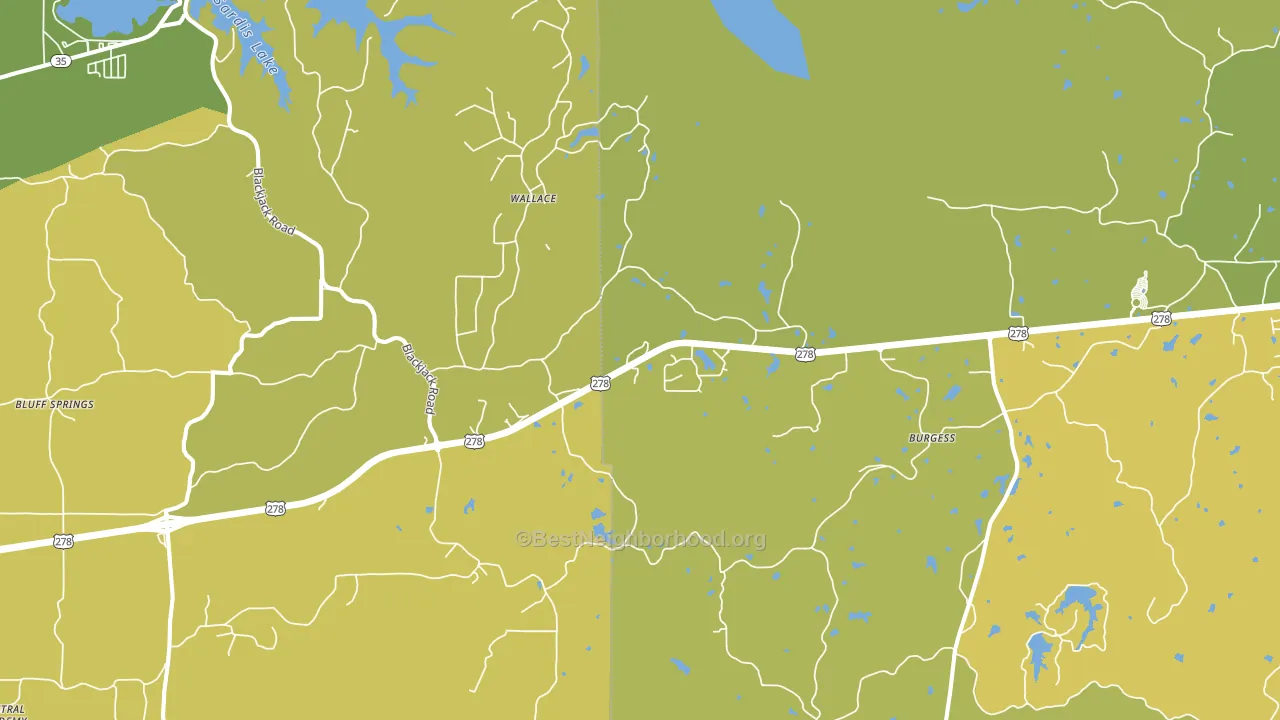 Burgess, MS block-group voter-turnout map