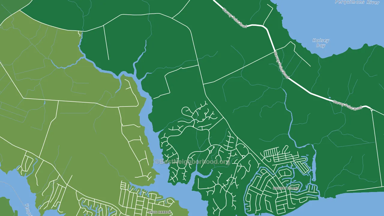 Burgess, NC block-group voter-turnout map
