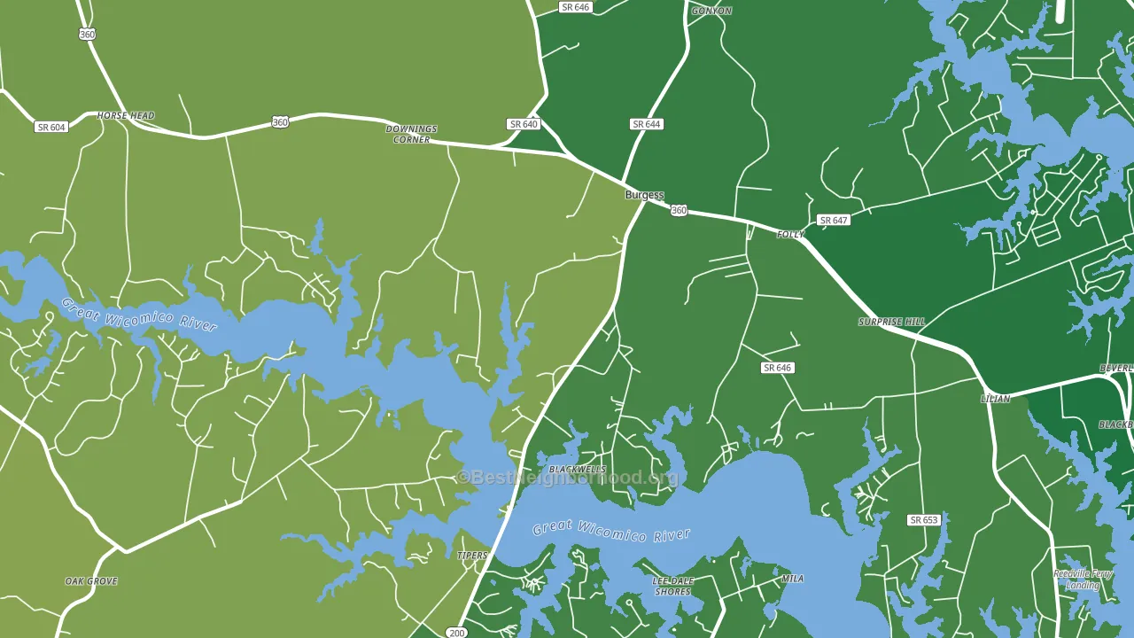 Burgess, VA block-group voter-turnout map