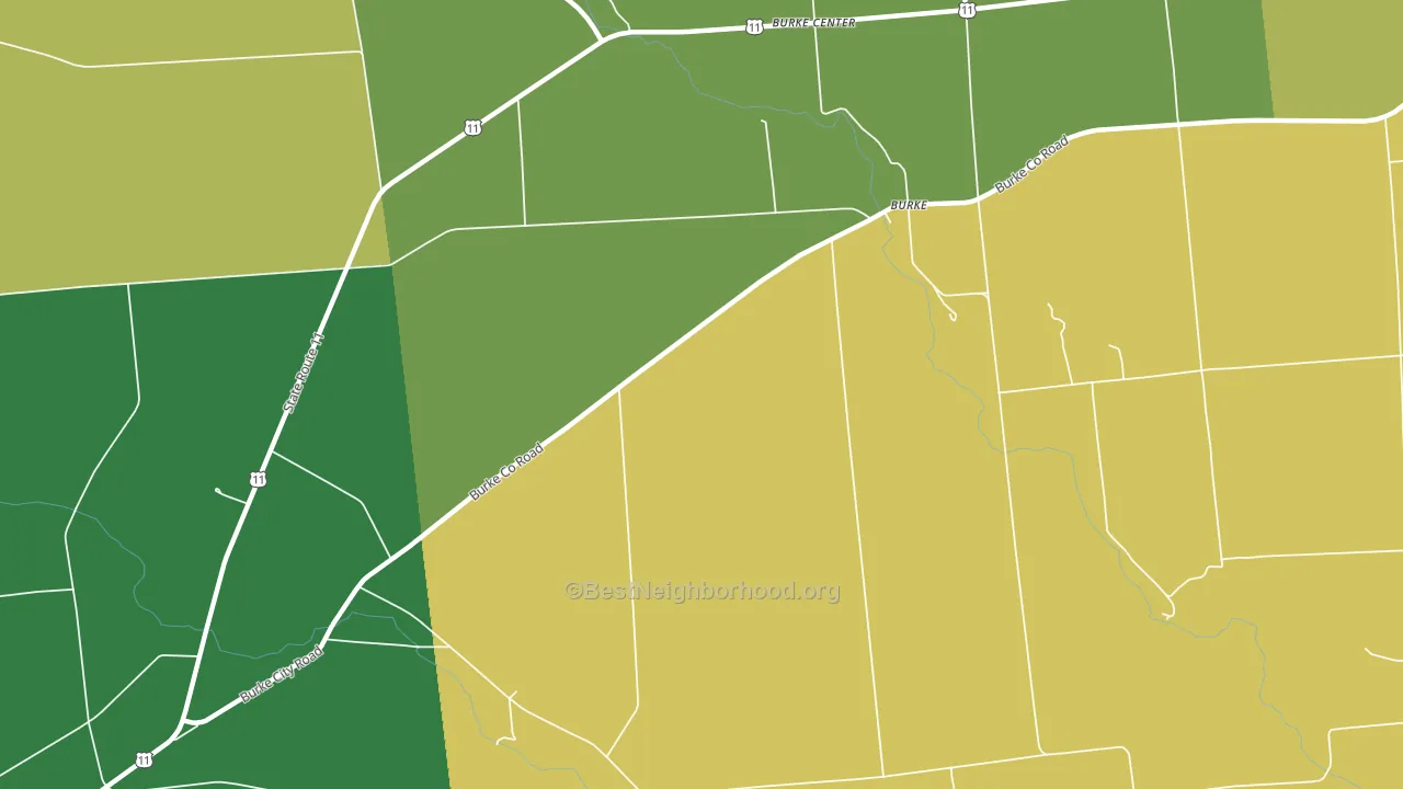 Burke Center, NY block-group voter-turnout map