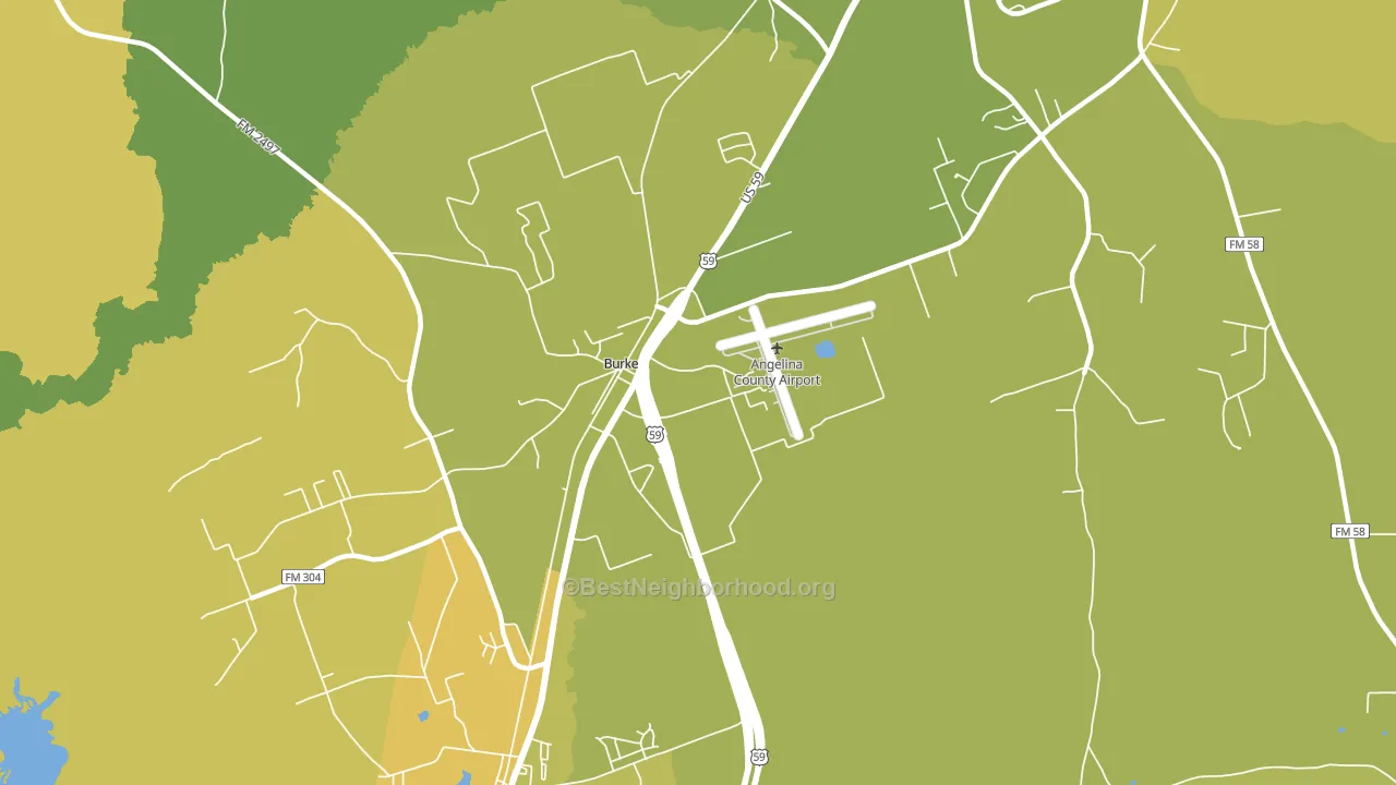 Burke, TX block-group voter-turnout map