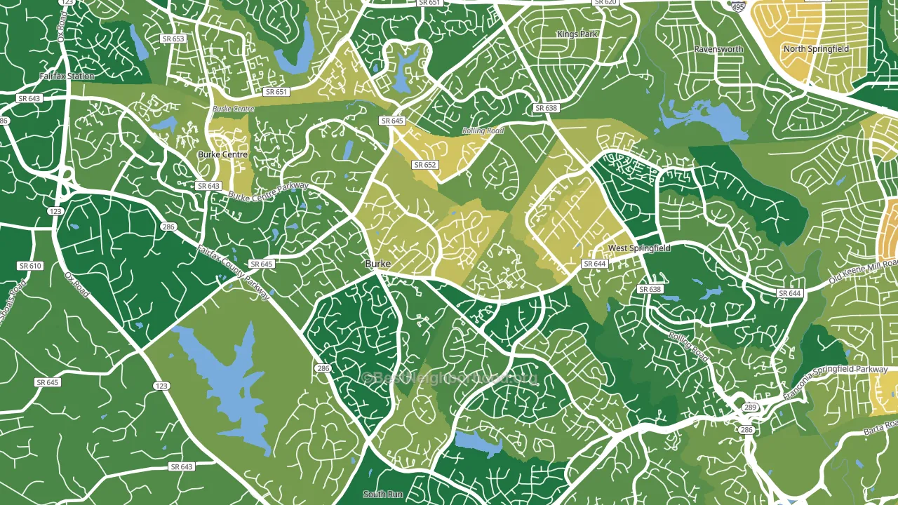 Burke, VA block-group voter-turnout map