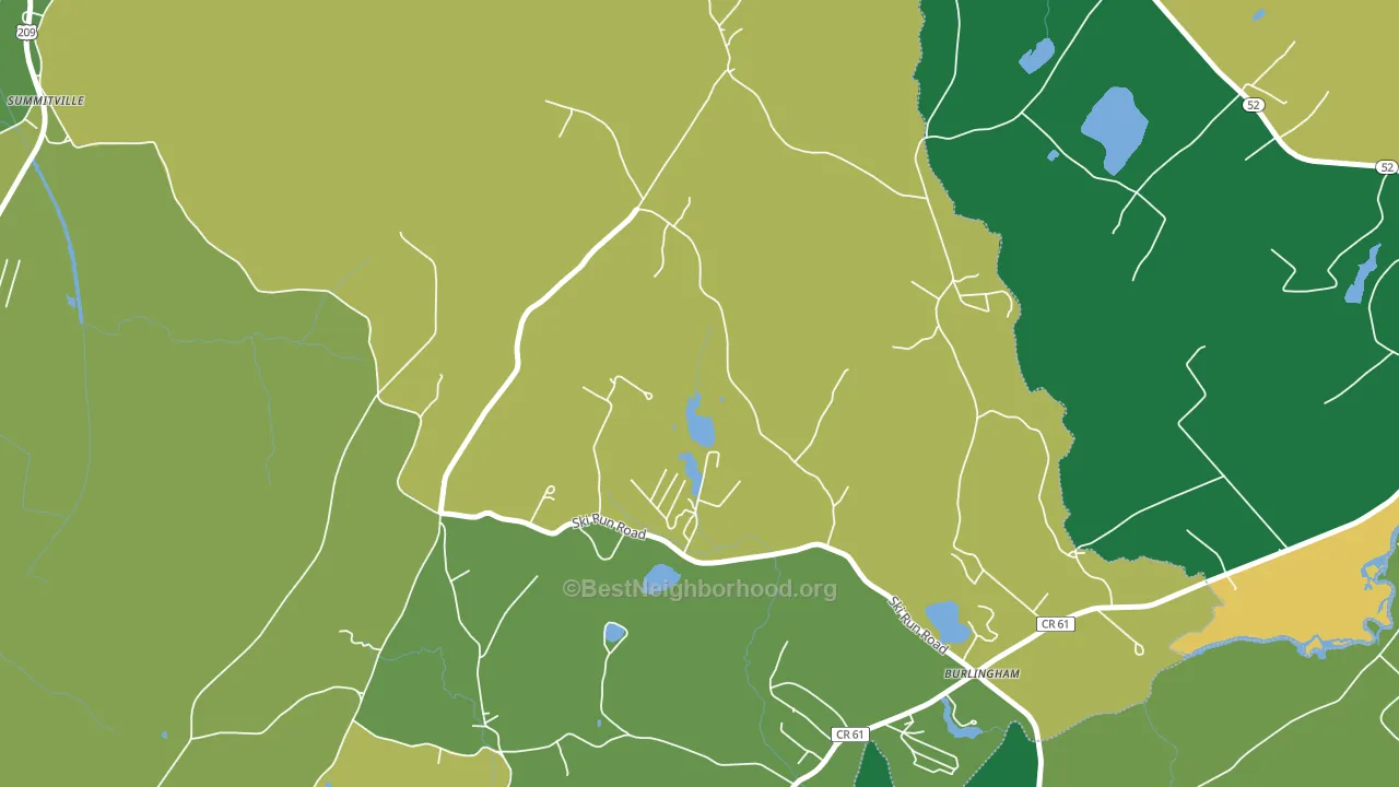 Burlingham, NY block-group voter-turnout map