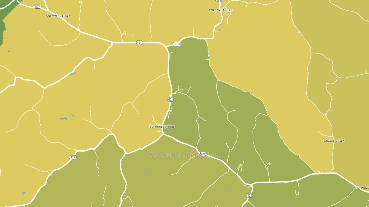 Burning Springs, KY block-group voter-turnout map