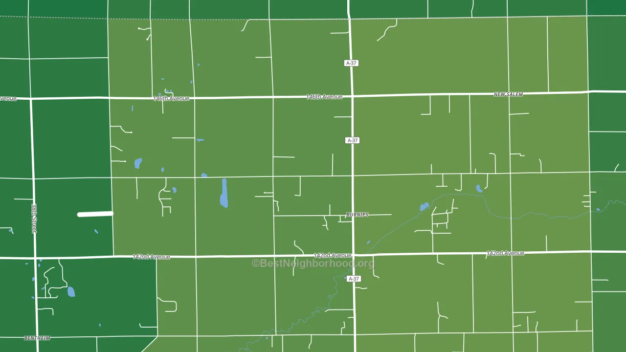Burnips, MI block-group voter-turnout map