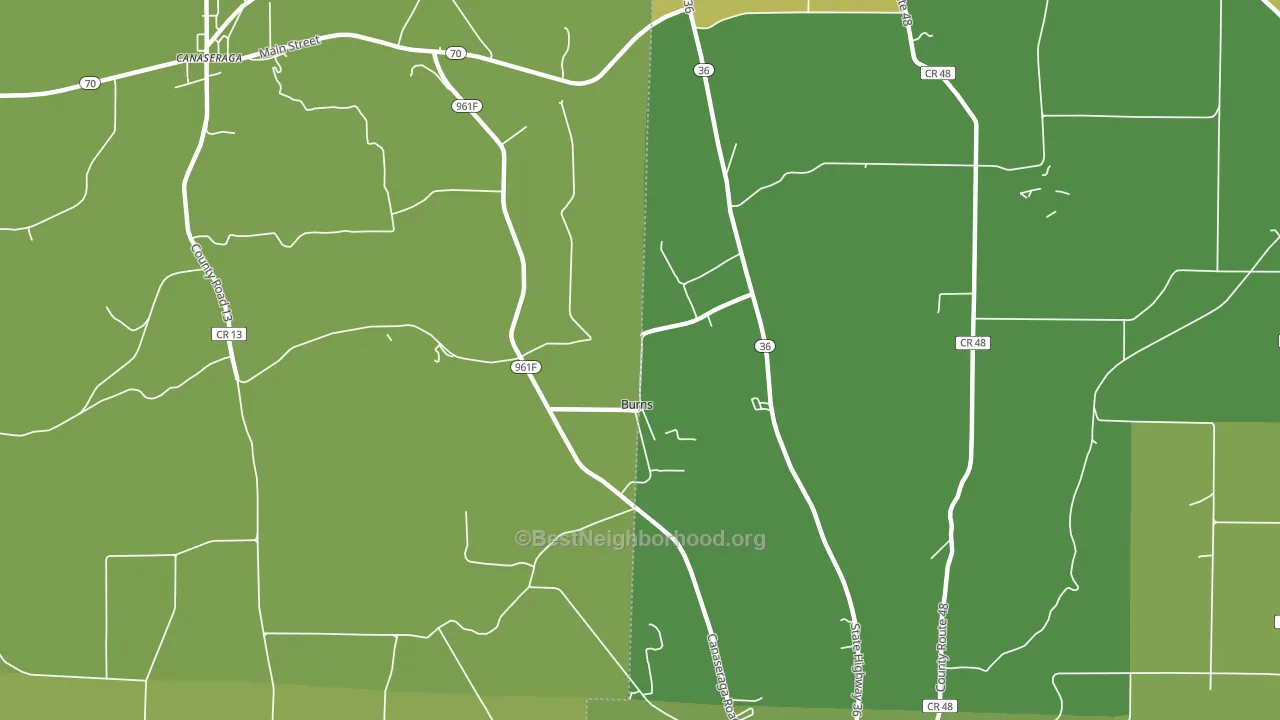 Burns, NY block-group voter-turnout map