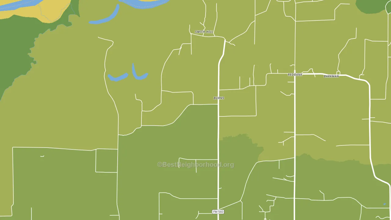 Burns, TX block-group voter-turnout map