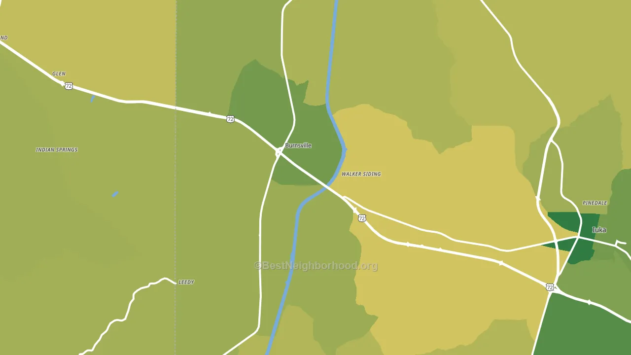 Burnsville, MS block-group voter-turnout map
