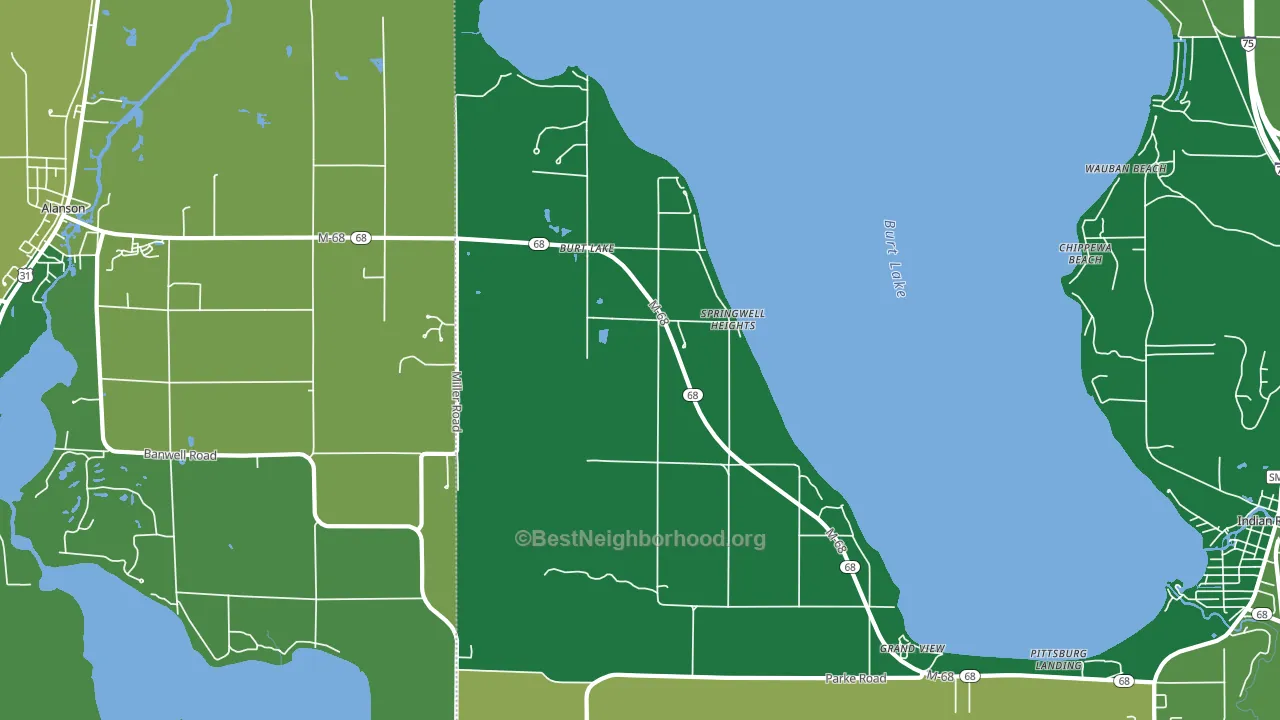 Burt Lake, MI block-group voter-turnout map