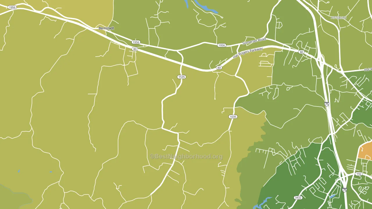 Bush, KY block-group voter-turnout map