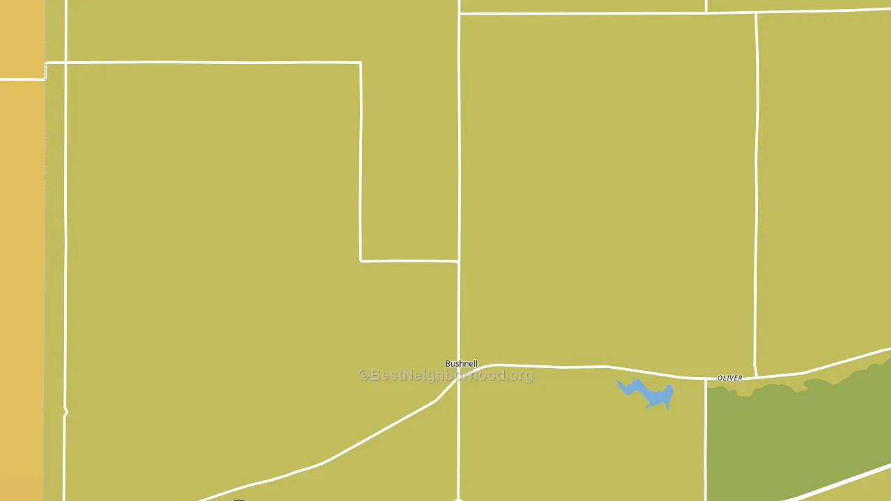 Bushnell, NE block-group voter-turnout map