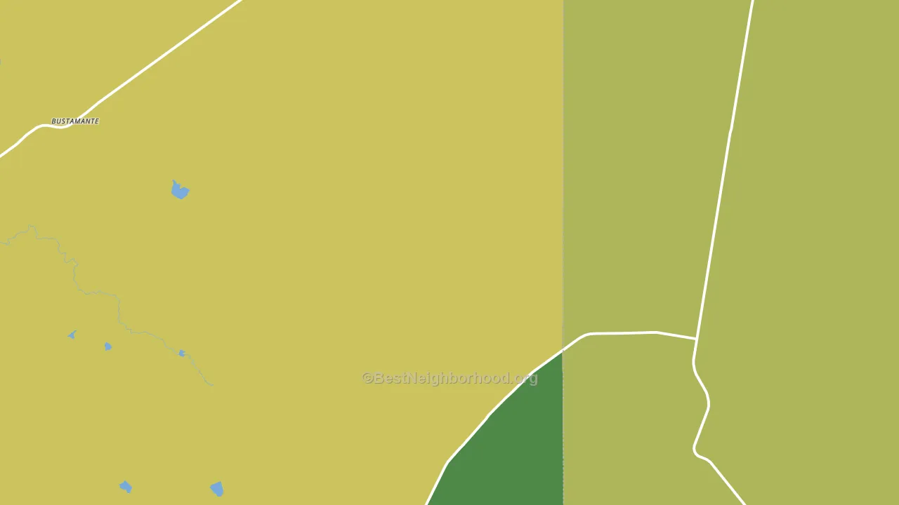 Bustamante, TX block-group voter-turnout map