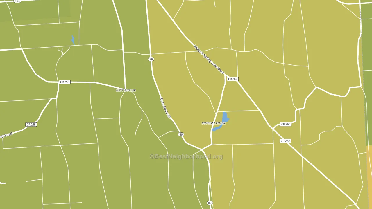 Butler Center, NY block-group voter-turnout map