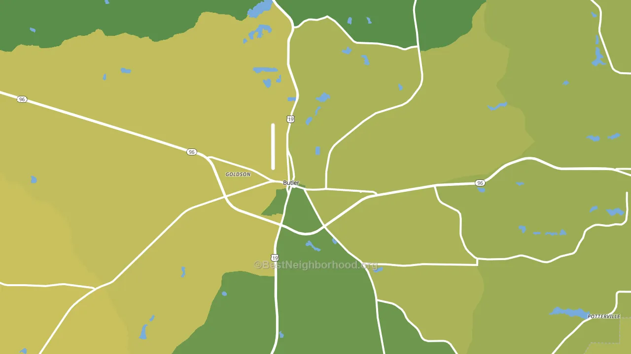 Butler, GA block-group voter-turnout map