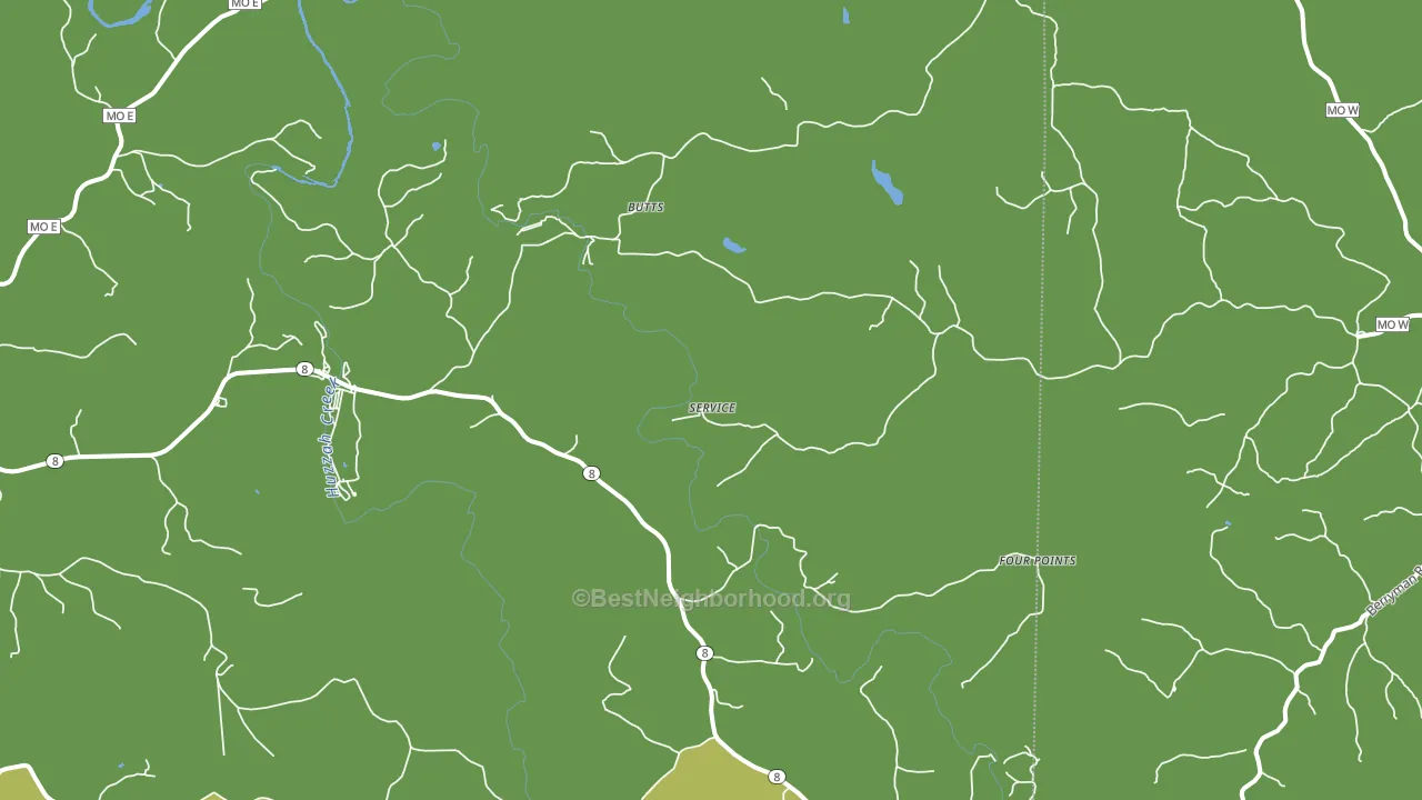Butts, MO block-group voter-turnout map