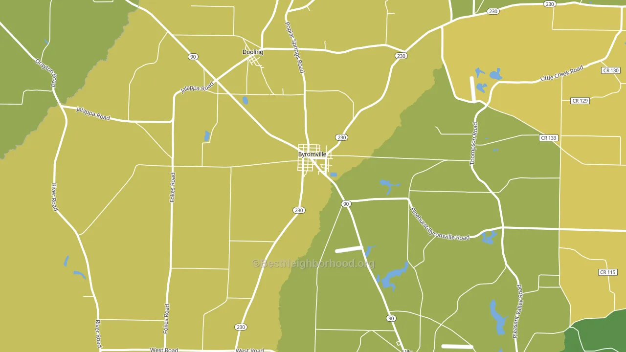Byromville, GA block-group voter-turnout map