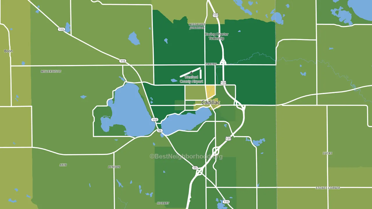 Cadillac, MI block-group voter-turnout map