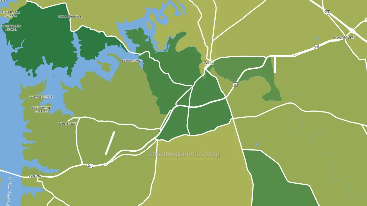 Cadiz, KY block-group voter-turnout map