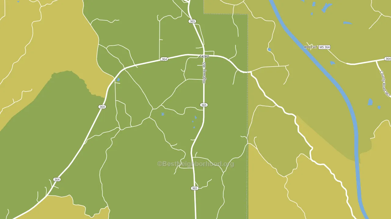 Cairo, MS block-group voter-turnout map