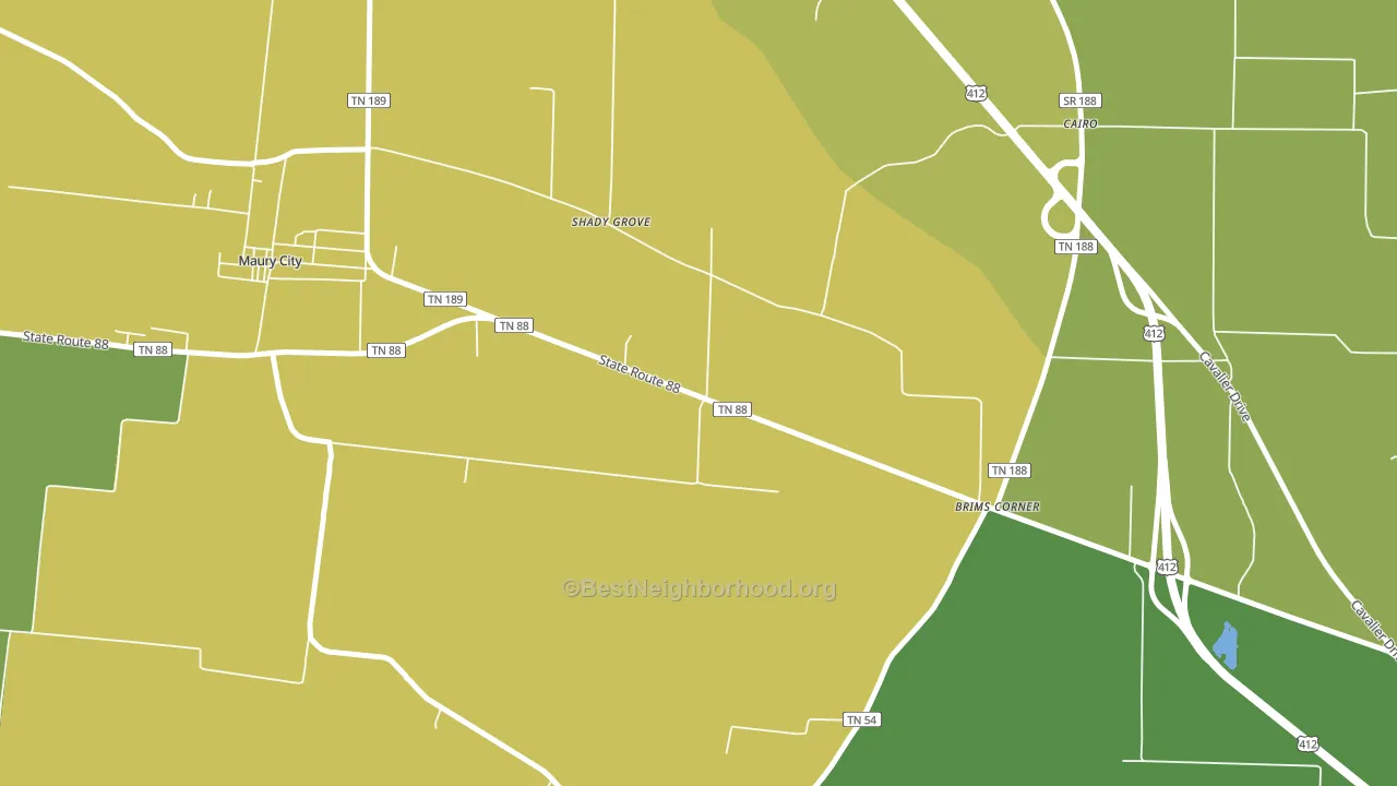 Cairo, TN block-group voter-turnout map