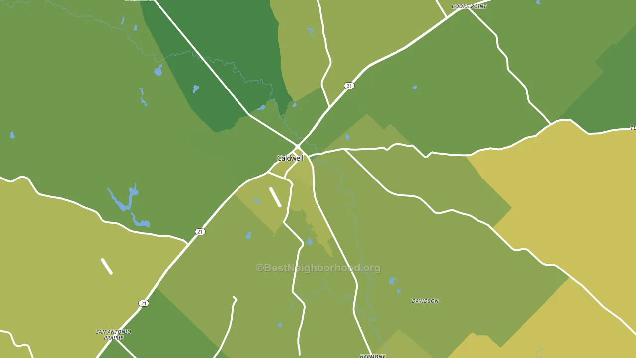 Caldwell, TX block-group voter-turnout map