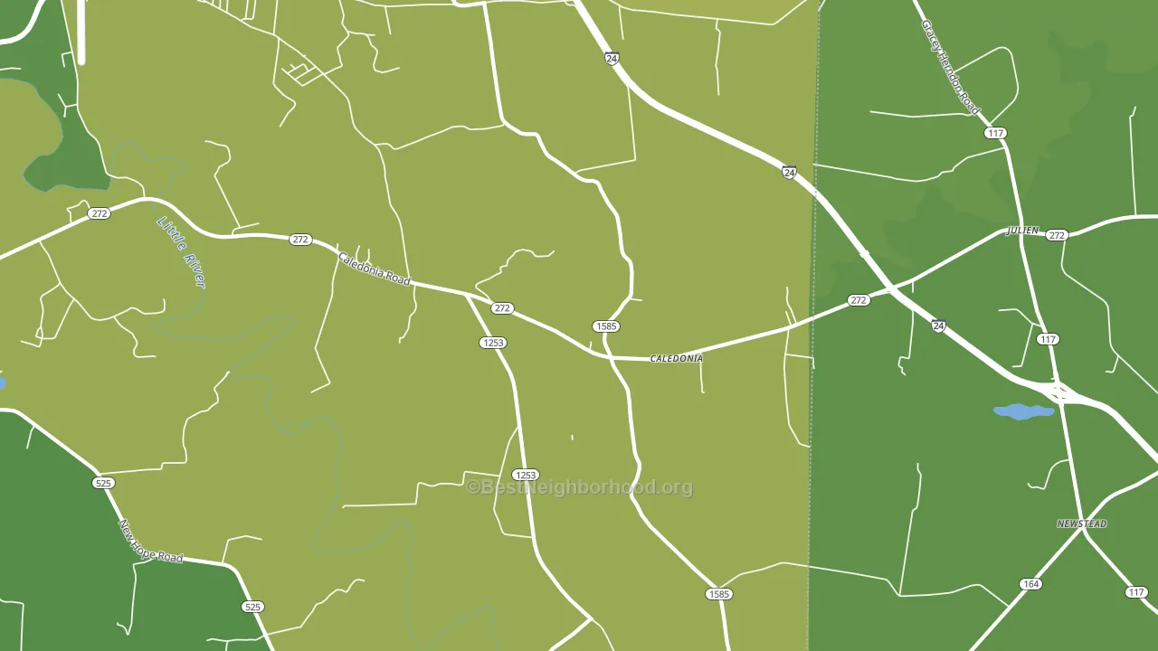 Caledonia, KY block-group voter-turnout map