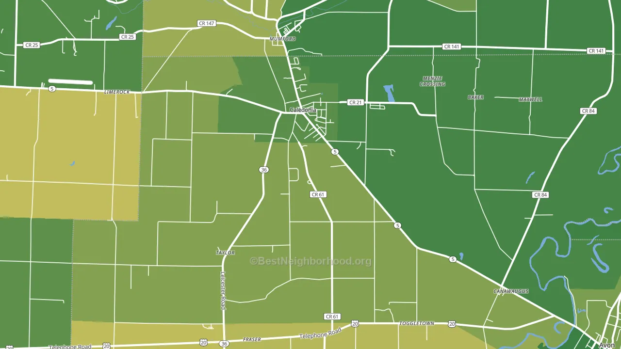 Caledonia, NY block-group voter-turnout map