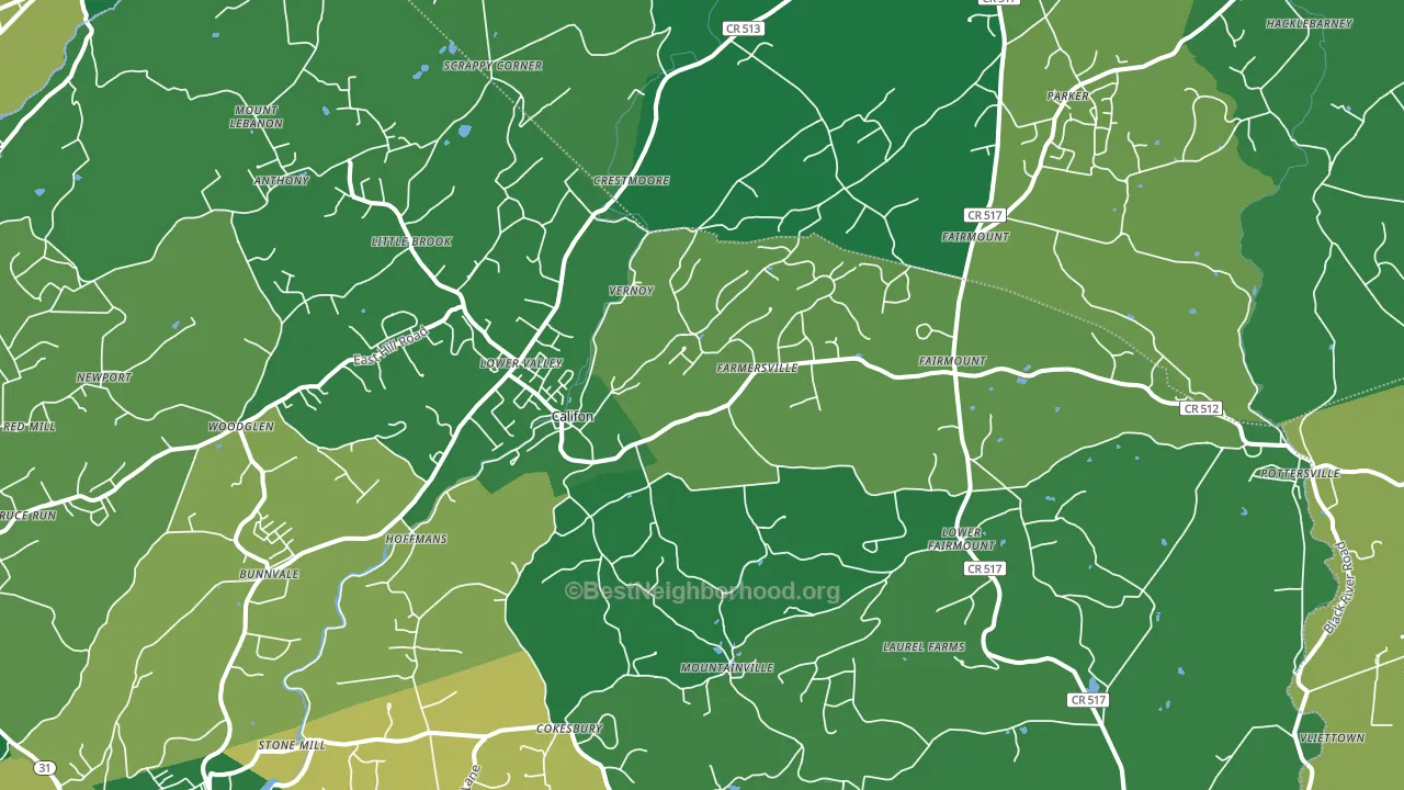 Califon, NJ block-group voter-turnout map