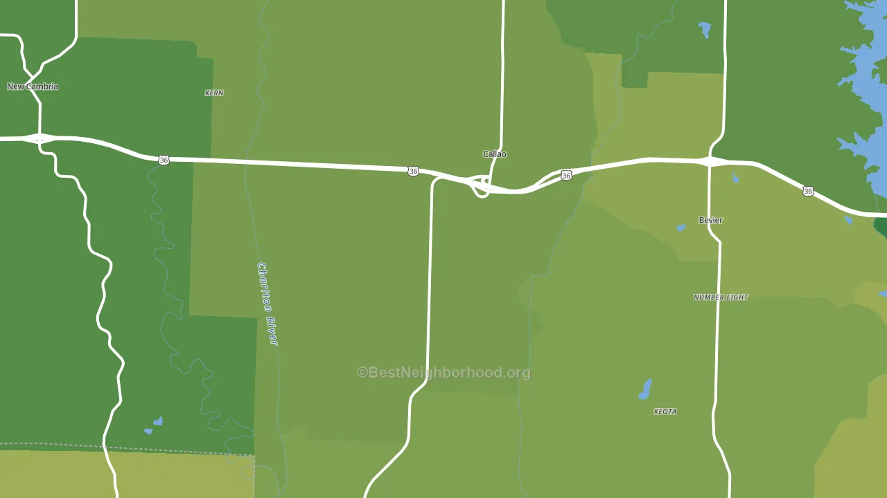 Callao, MO block-group voter-turnout map