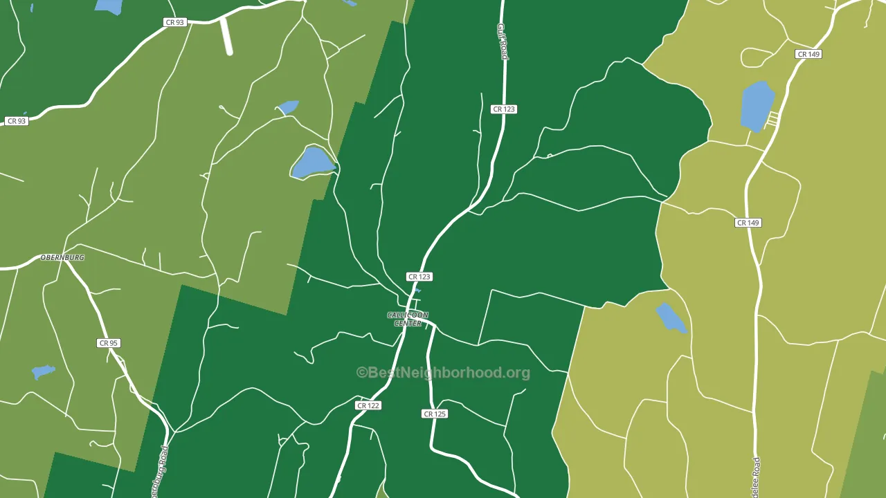 Callicoon Center, NY block-group voter-turnout map