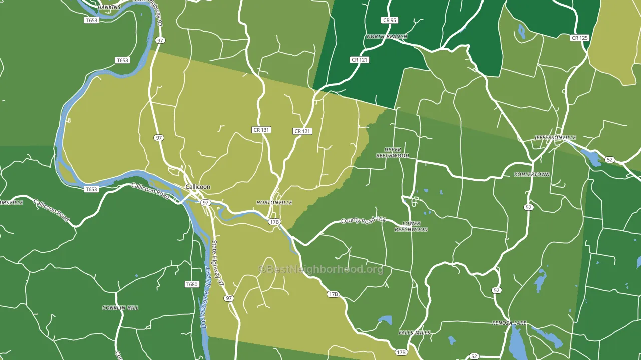 Callicoon, NY block-group voter-turnout map