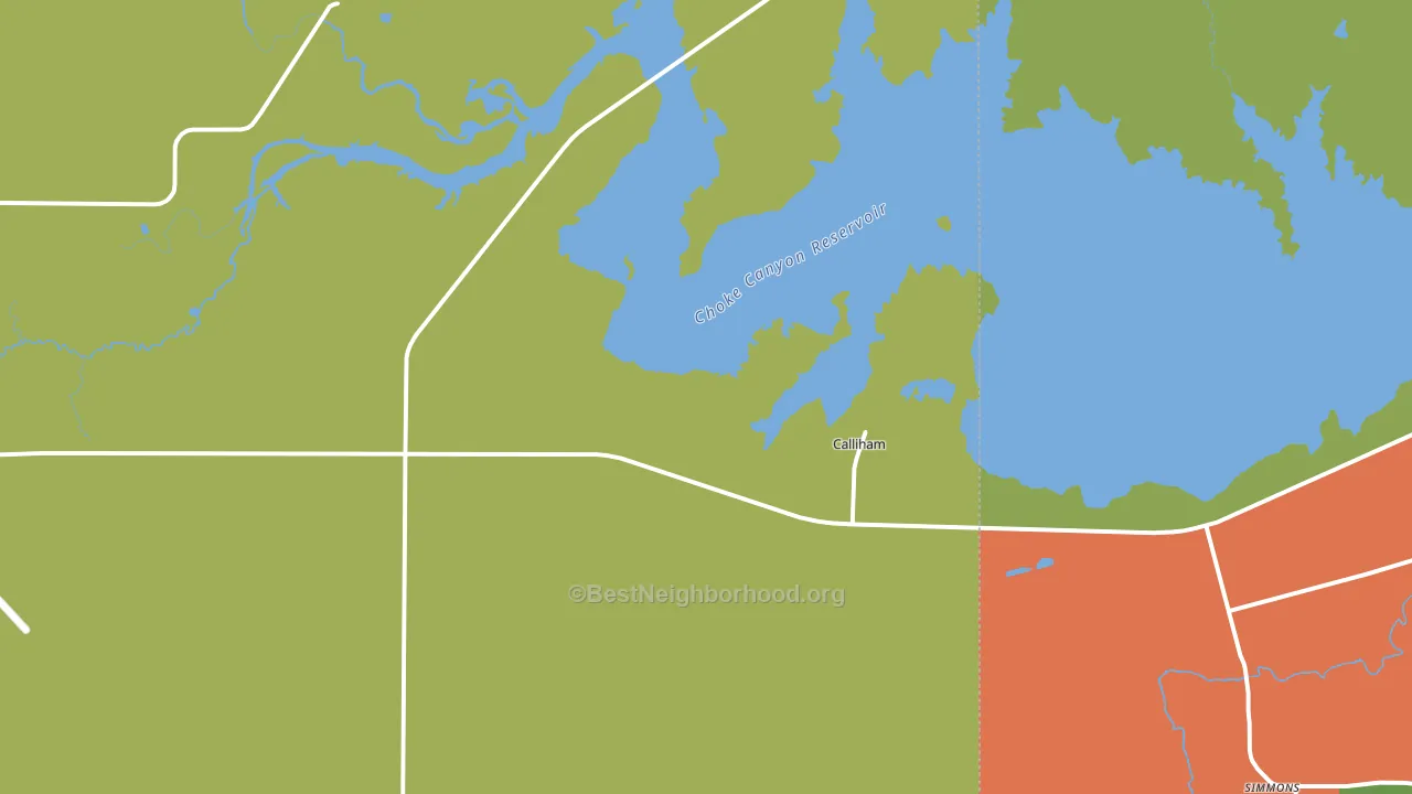 Calliham, TX block-group voter-turnout map