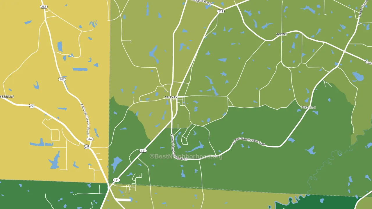 Calvary, GA block-group voter-turnout map