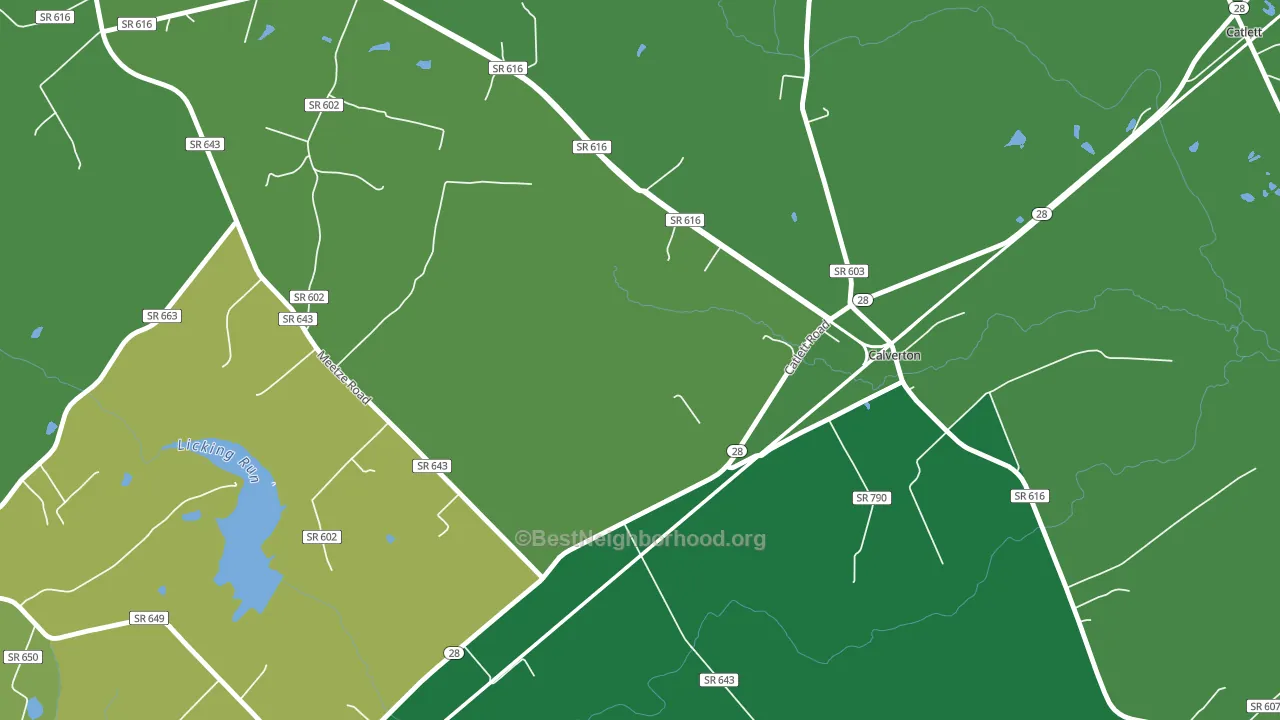 Calverton, VA block-group voter-turnout map