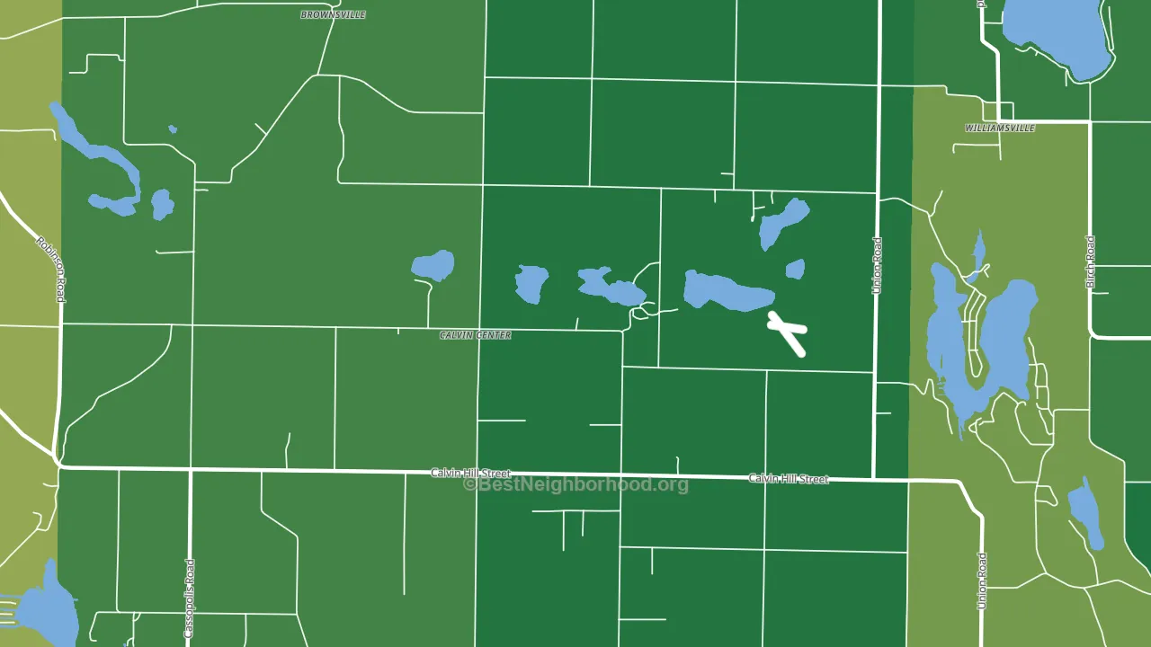Calvin Center, MI block-group voter-turnout map