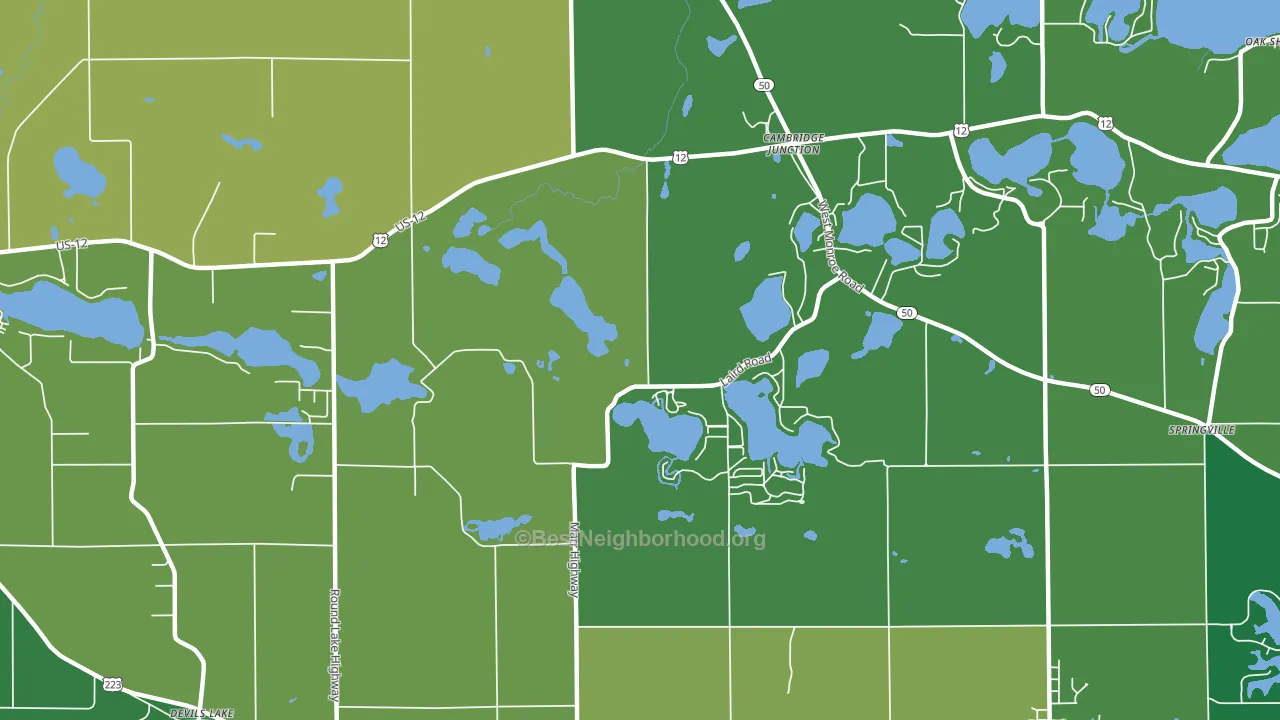 Cambridge Junction, MI block-group voter-turnout map
