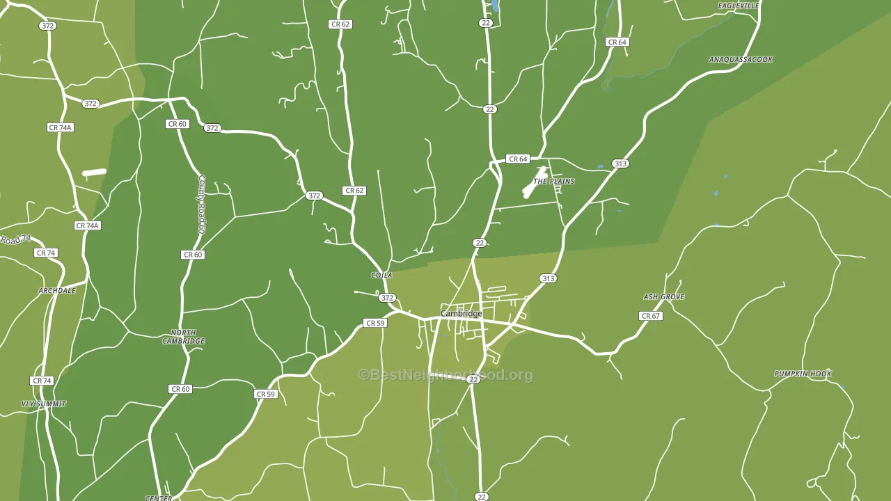 Cambridge, NY block-group voter-turnout map