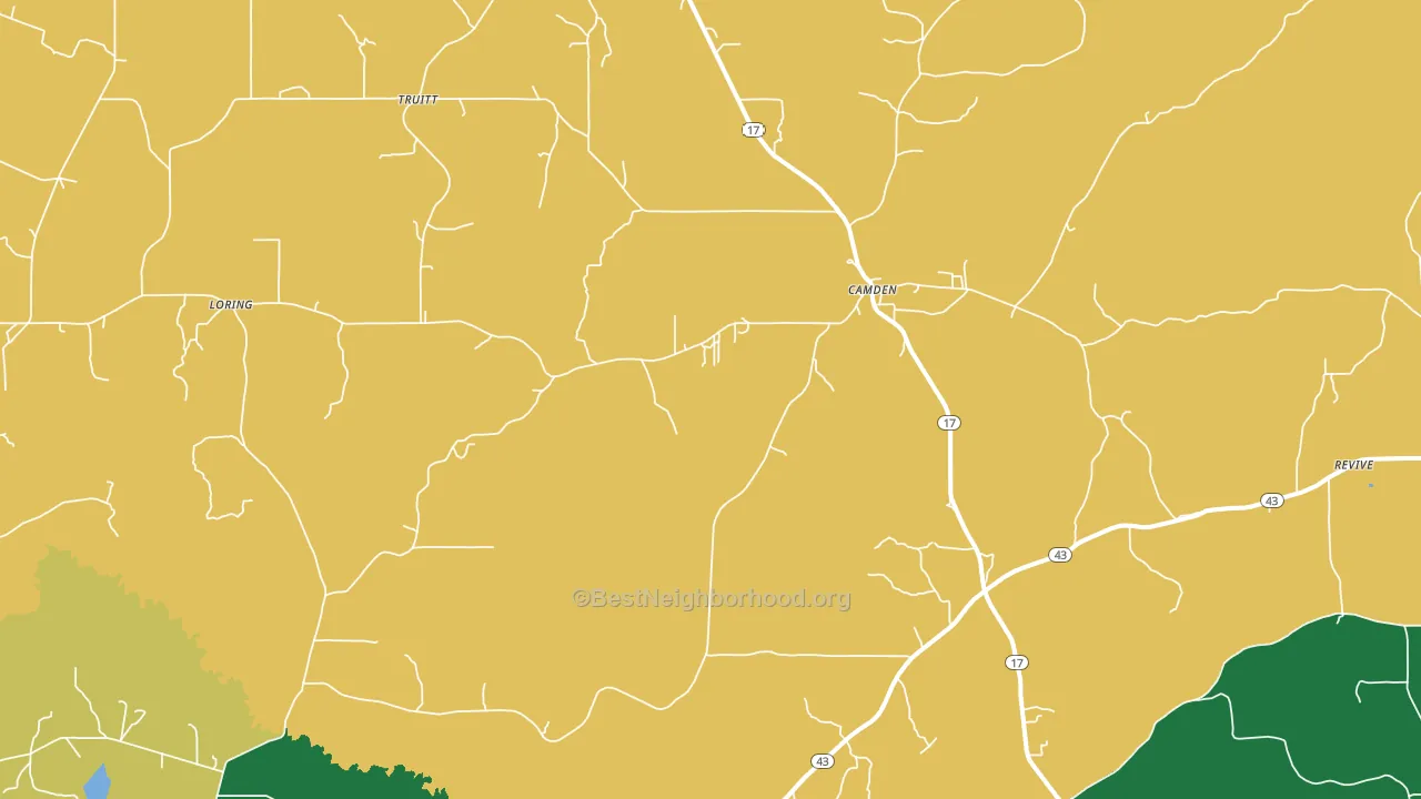 Camden, MS block-group voter-turnout map