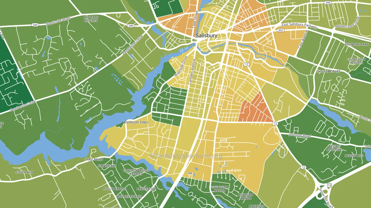 Camden, Salisbury, MD block-group voter-turnout map