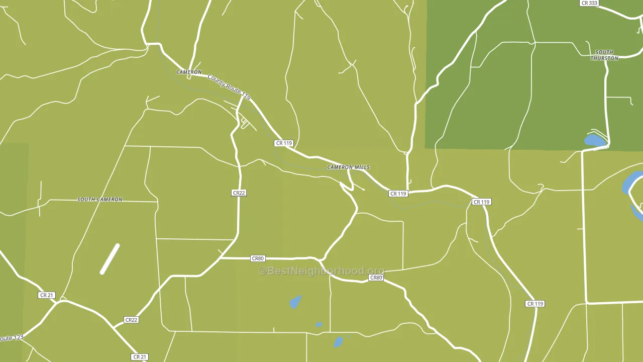 Cameron Mills, NY block-group voter-turnout map